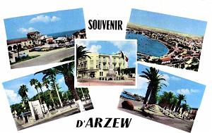 ARZEW 607